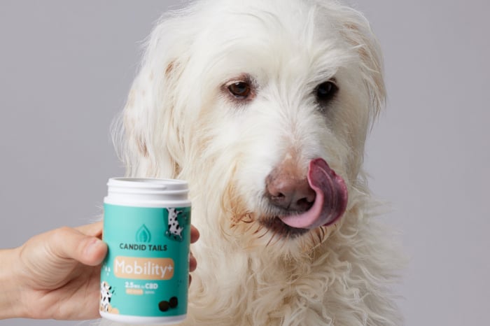 Mobility+ Dog Snacks - 150 g [5]