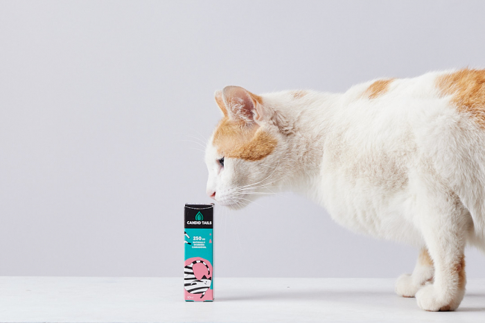 Petibidiol Oil 250 mg (2.5%) for Cats - 10 ml [6]