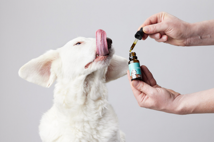 Petibidiol Oil 700 mg (3.5%) for Medium Dogs - 20 ml [4]