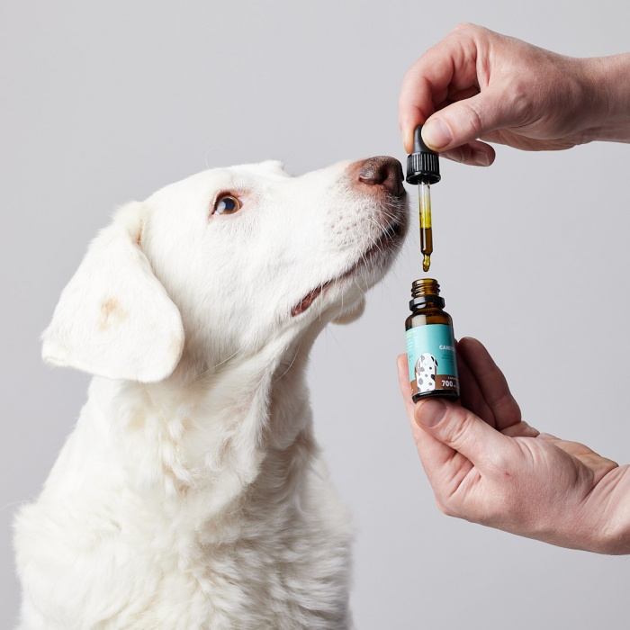 Petibidiol Oil 700 mg (3.5%) for Medium Dogs - 20 ml [5]