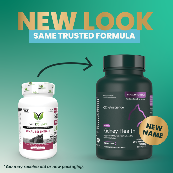 Kidney Health Cat - Renal Essentials for Cats - 60 tablete [2]