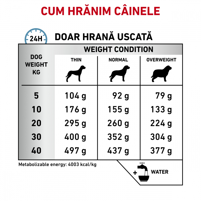 Royal Canin Anallergenic Dog – 3 kg [5]
