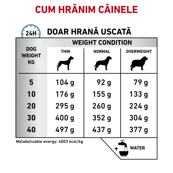 Royal Canin Anallergenic Dog – 8 kg [5]