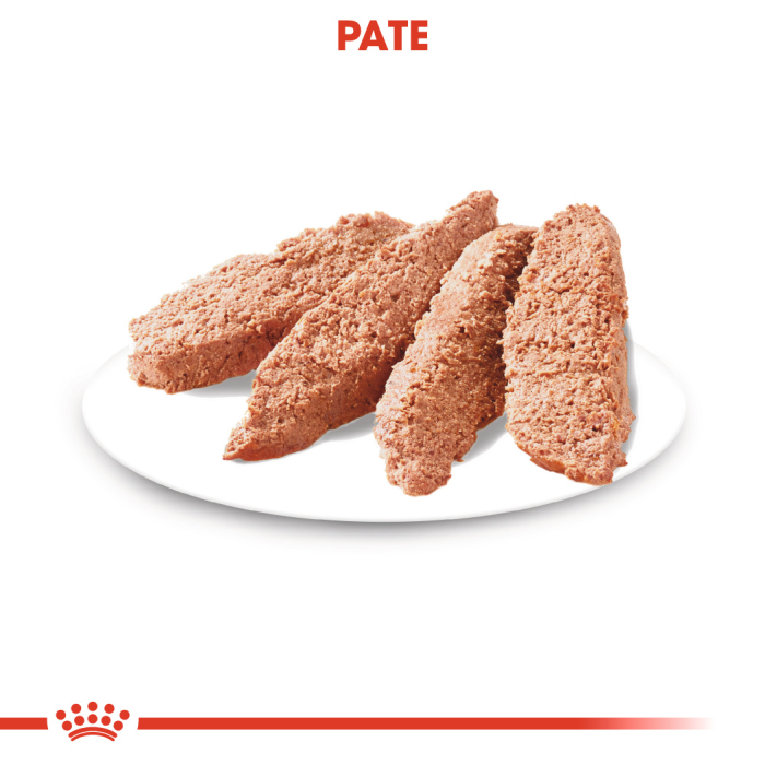 Royal Canin Dermaconfort Dog - pate - plic 85 g [5]