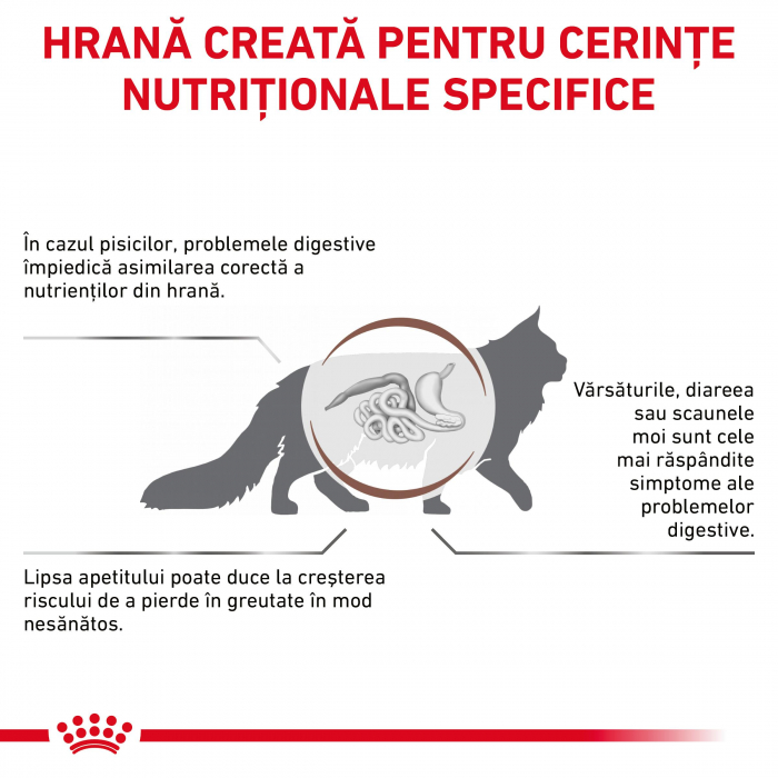 Royal Canin GastroIntestinal Cat - 4 kg [4]