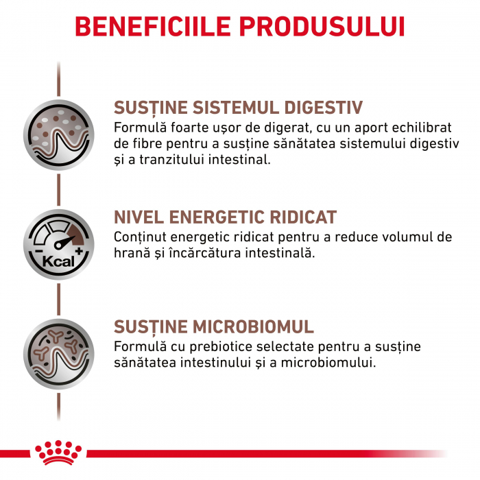 Royal Canin GastroIntestinal Cat - 400 g [3]