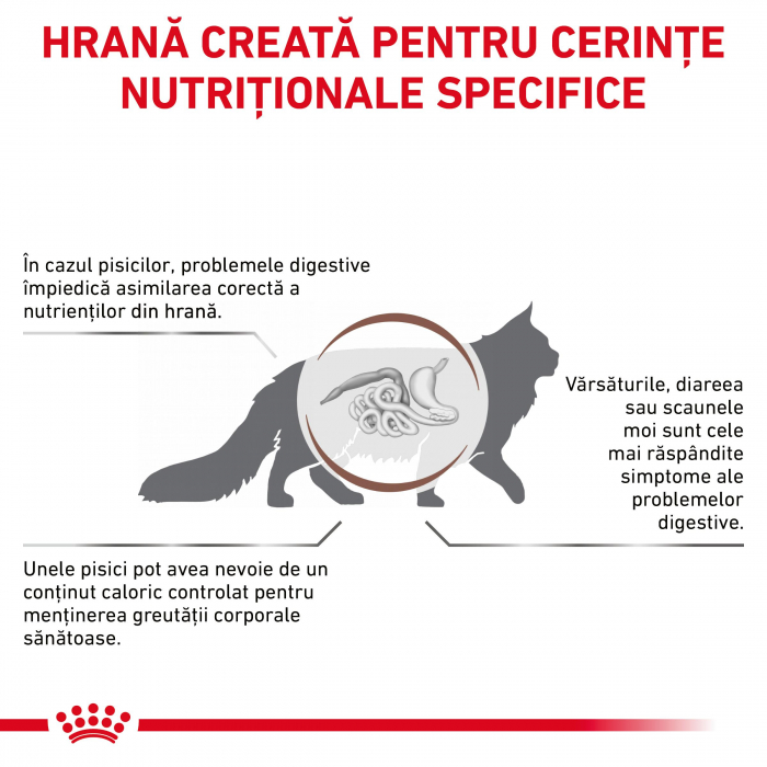 Royal Canin Gastrointestinal Cat Moderate Calories - 4 kg [3]