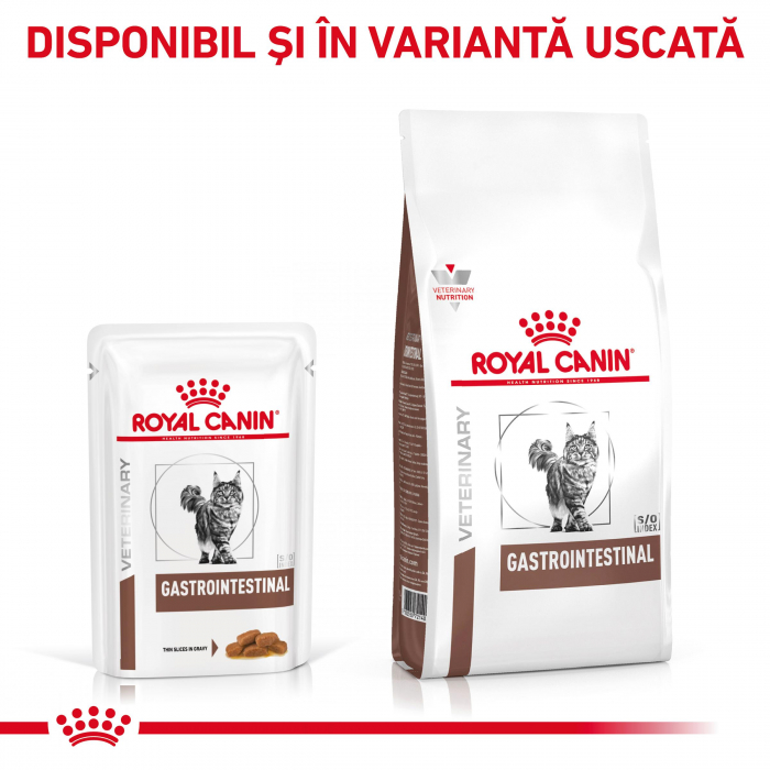 Royal Canin GastroIntestinal Cat – Plic 85 g [2]