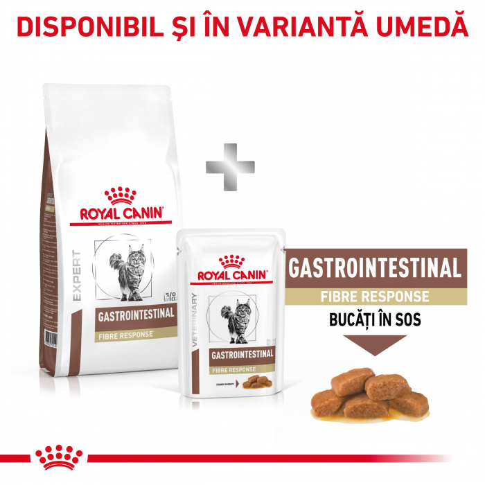Royal Canin GastroIntestinal Fibre Response Cat - 4 kg [9]