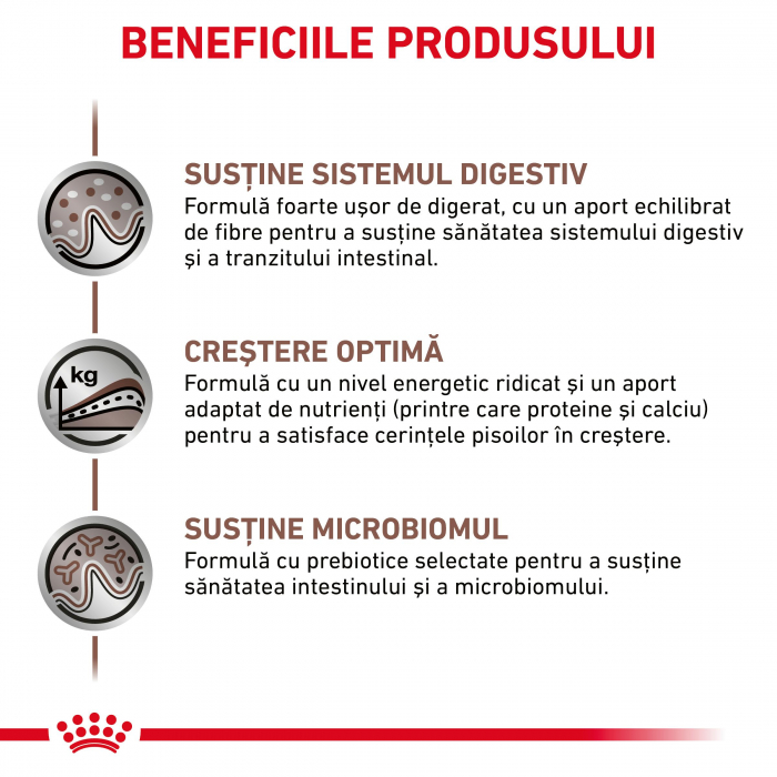 Royal Canin Gastrointestinal Kitten - 2 kg [2]