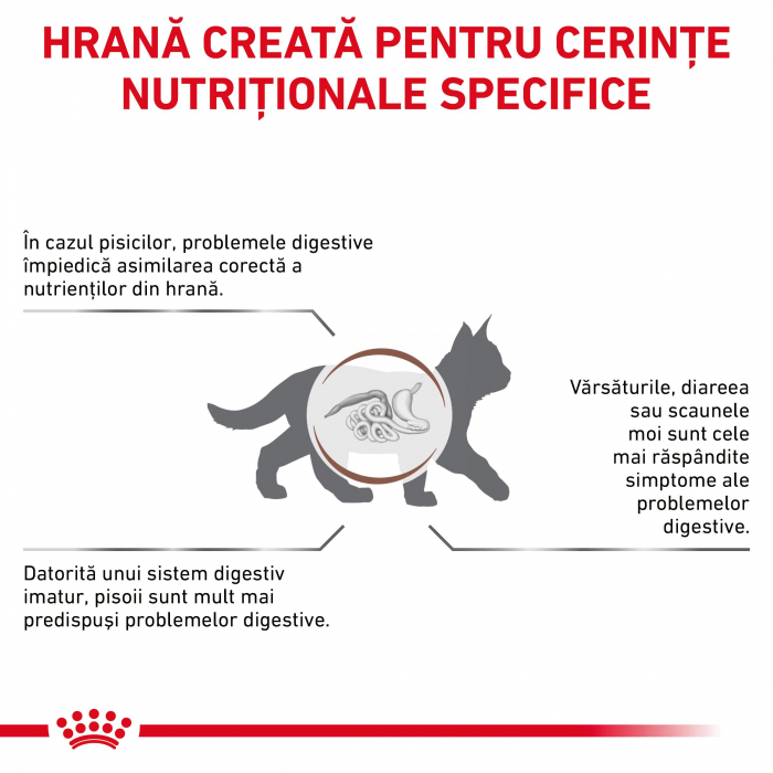 Royal Canin Gastrointestinal Kitten - 2 kg [3]