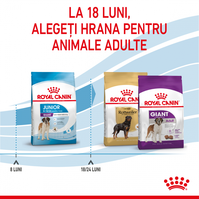 Royal Canin Giant Junior - 15 kg [10]