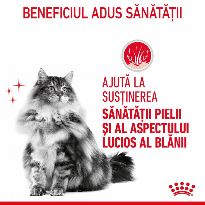 Royal Canin Hair and Skin Care Cat - 10 kg [3]