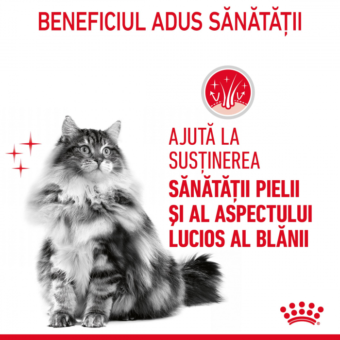 Royal Canin Hair and Skin Cat - in sos - 85 g [2]