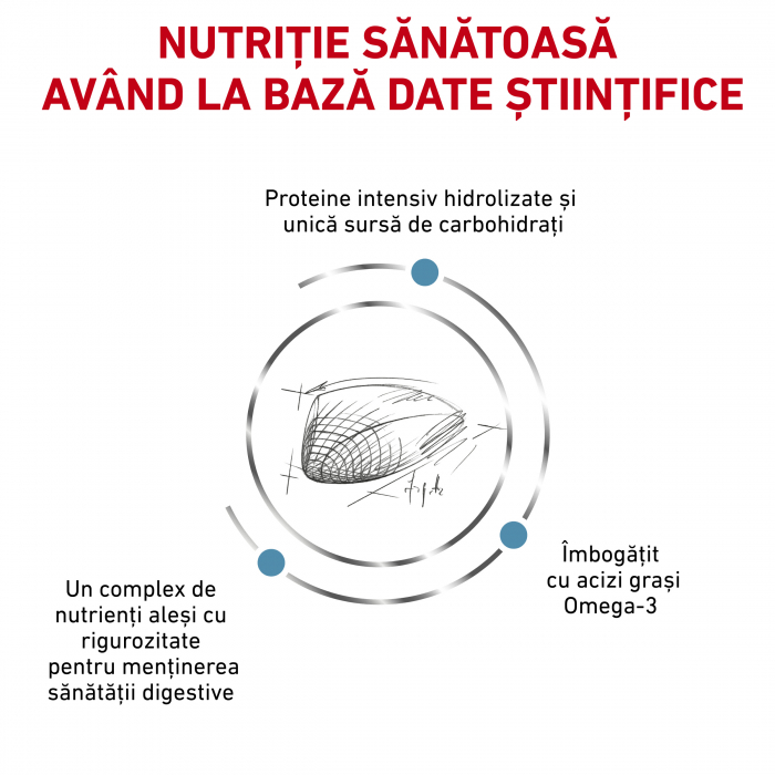 Royal Canin Hypoallergenic Cat - 400 g [2]