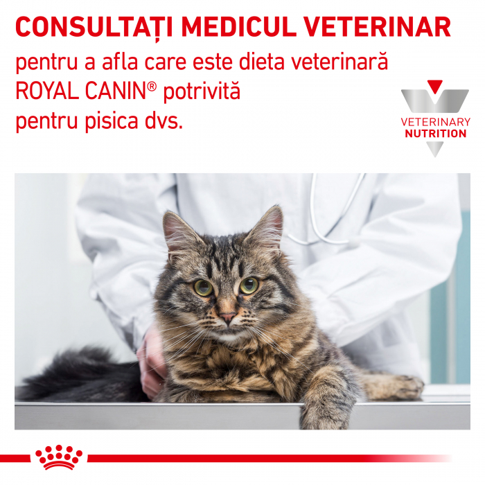 Royal Canin Hypoallergenic Cat - 400 g [7]