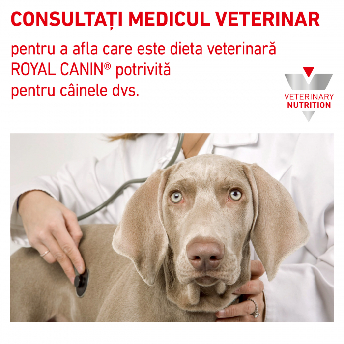 Royal Canin Hypoallergenic Small Dog - 3.5 kg [8]