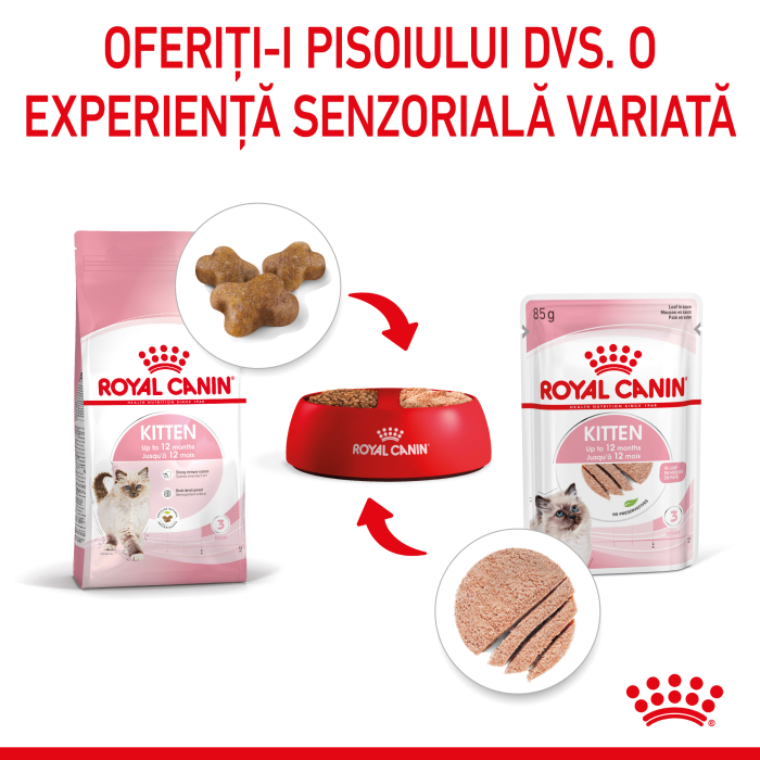 Royal Canin Kitten Pate - 85 g [10]