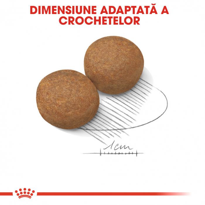 Royal Canin Maxi Adult Dog - 4 kg  [4]