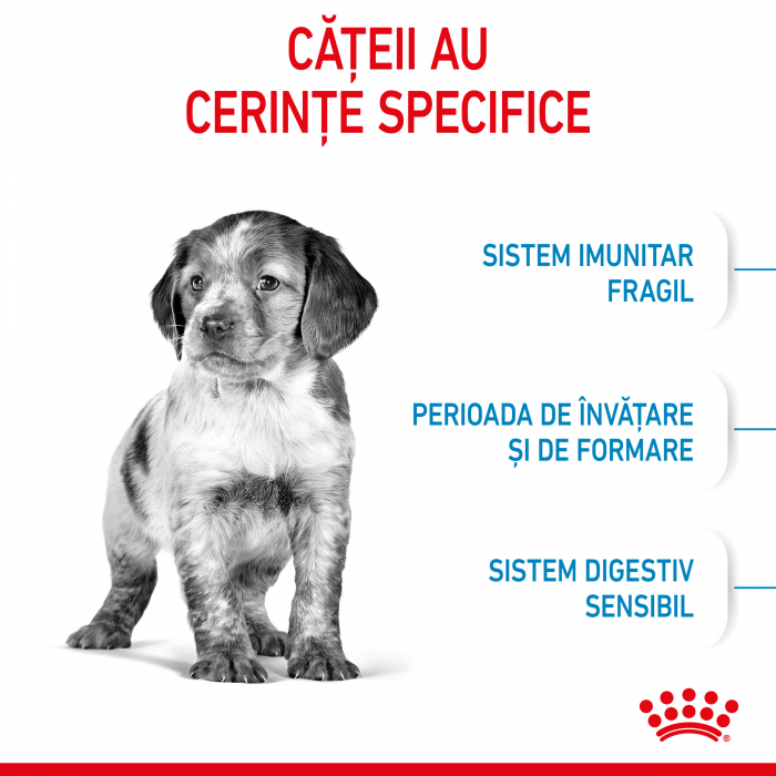Royal Canin Medium Puppy - 4 kg [4]