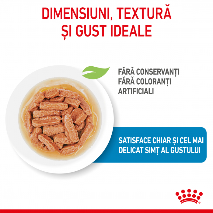 Royal Canin Medium Puppy - in sos - 140 g [3]