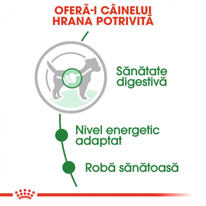 Royal Canin Mini Adult Dog - in sos - 85 g [2]