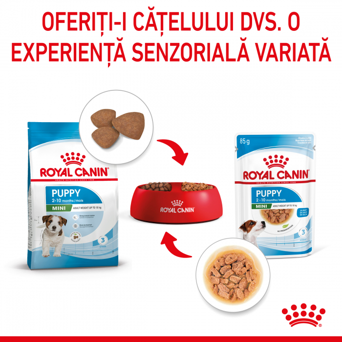 Royal Canin Mini Puppy - in sos - 85 g [4]