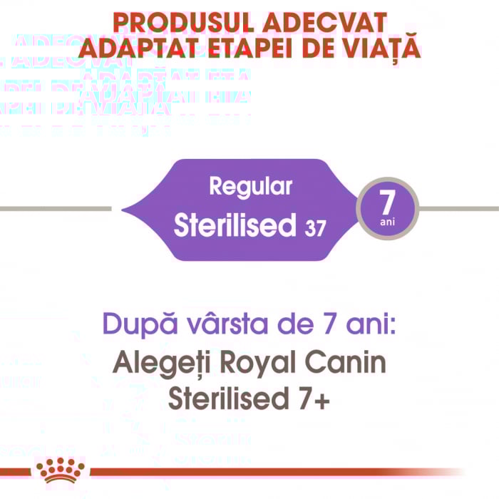 Royal Canin Sterilised Cat – 4 kg [2]
