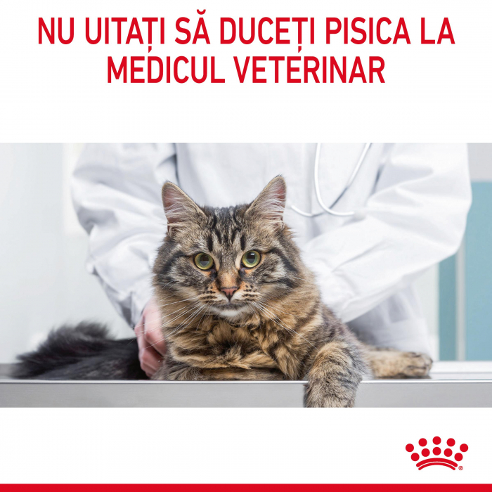 Royal Canin Urinary Care Cat - in sos - 85 g [10]
