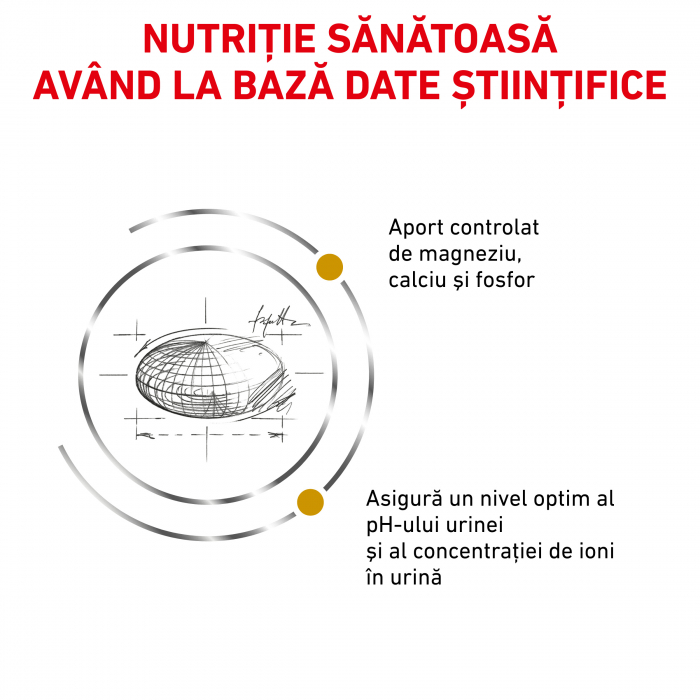 Royal Canin Urinary S/O Cat - 1.5 Kg [3]