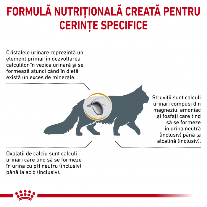 Royal Canin Urinary S/O Cat - 1.5 Kg [4]