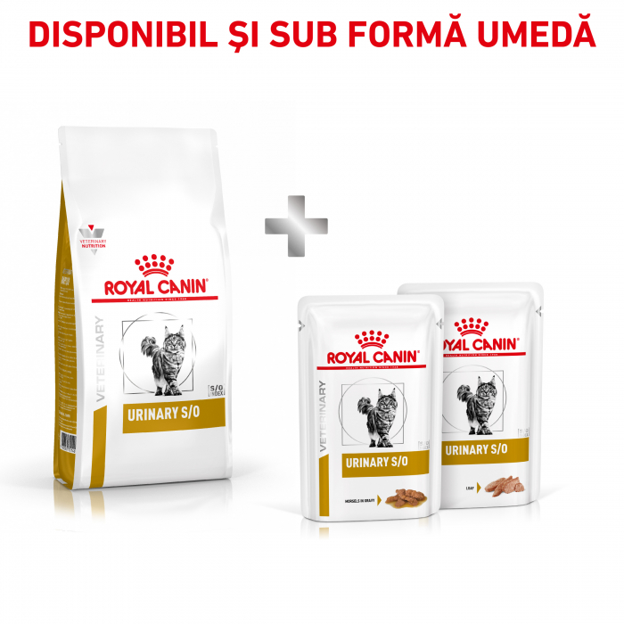 Royal Canin Urinary S/O Cat - 1.5 Kg [5]