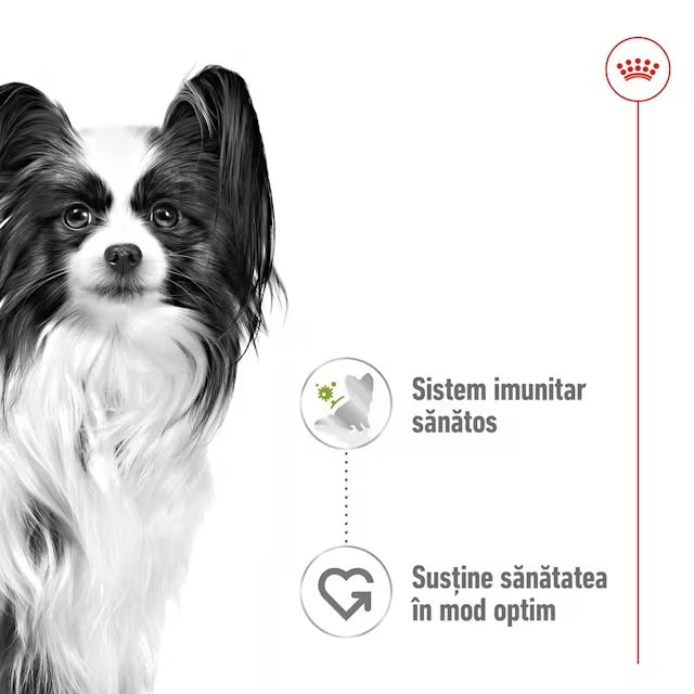 Royal Canin X-Small Adult Dog - în sos - 85 g [3]