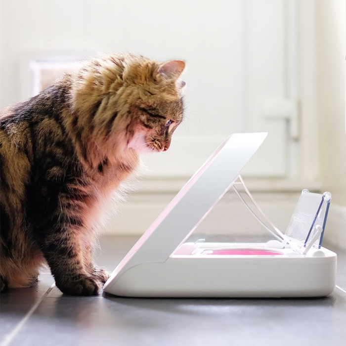 SureFeed - Hrănitor automat cu microcip [6]