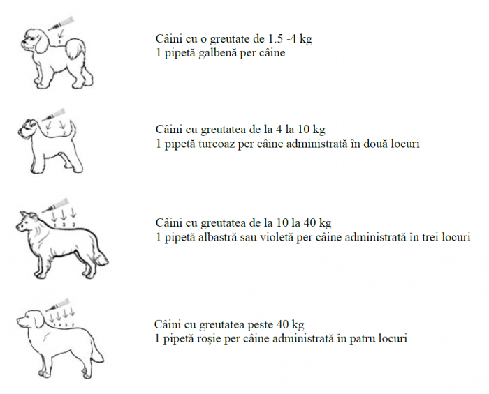 Vectra 3D Dog 4-10 kg spot-on - cutie cu 3 pipete [3]