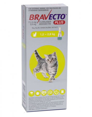 Antiparazitare Externe - Bravecto Plus Cat spot on 112,5 mg (1,2-2,8 kg) - o pipetă