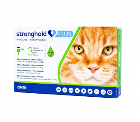 Farmacie Pisici - Stronghold Plus 60 mg Pisici (5-10 kg) - 3 pipete