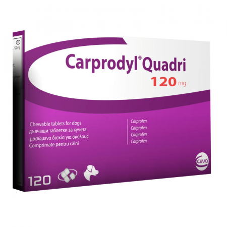 Carprodyl Quadri 120 mg - Blister 6 tablete [1]