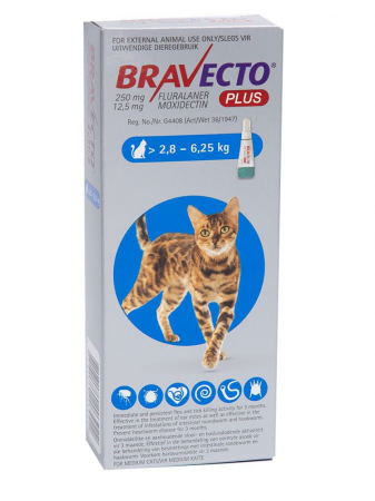 Antiparazitare Externe - Bravecto Plus Cat spot on 250 mg (2,8-6,25 kg) - o pipetă