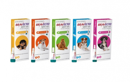 Bravecto 250 mg (4,5-10 kg) - o pipetă [1]