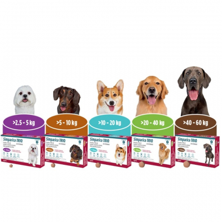 Simparica Trio (1.3-2.5 kg) - 3 comprimate masticabile [1]