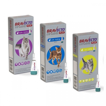 Bravecto Plus Cat spot on 250 mg (2,8-6,25 kg) - o pipetă [1]
