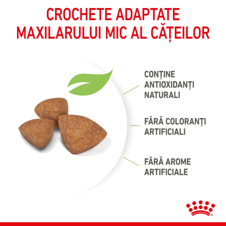 Royal Canin X-Small Puppy - 500 g [4]