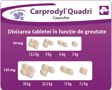 Carprodyl Quadri 120 mg - Blister 6 tablete [2]