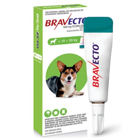 Antiparazitare Externe - Bravecto 500 mg (10-20 kg) - o pipetă