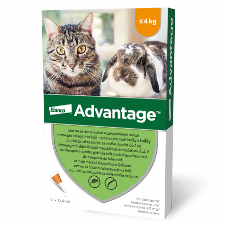 Farmacie Rozătoare - Advantage 40 Pisici si Iepuri (< 4kg) - 4 pipete spot on