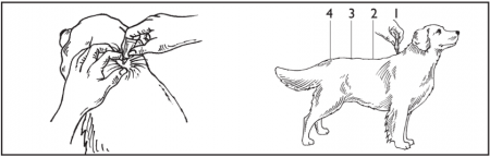 Advantix 40 (sub 4kg) - o pipetă [2]