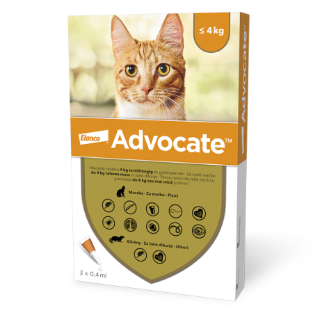 Afecțiuni - Advocate Cat (0-4 kg) - 3 pipete Spot-on
