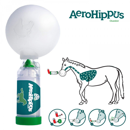 AeroHippus – dispozitiv administrare aerosoli la cai [1]