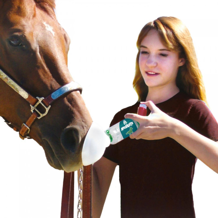 AeroHippus – dispozitiv administrare aerosoli la cai [3]